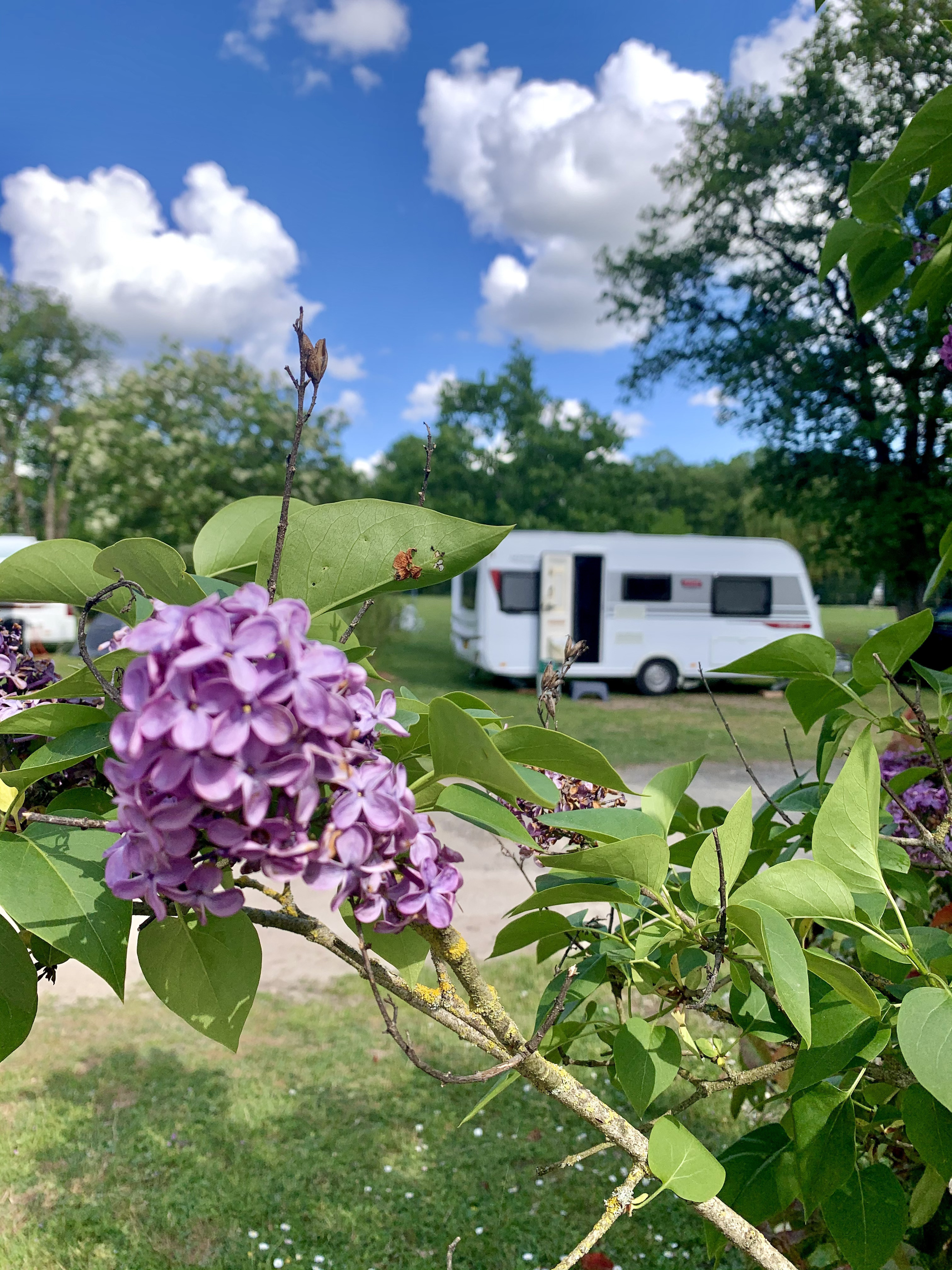 CAMPING LES ACACIAS TOURS