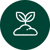 logo-jardin-permaculture-vert